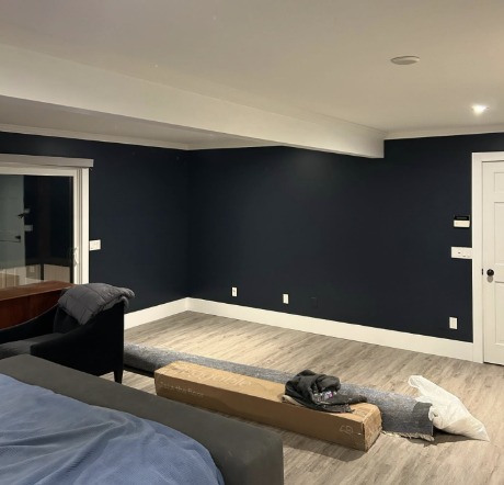 Living room after — deep navy blue